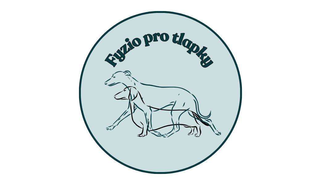 FYZIO PRO TLAPKY
